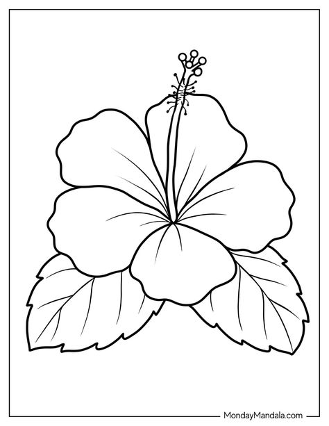 Printable Sunflower Coloring Page, Cute Drawing Ideas Easy Flowers, Traceable Flower Drawings, Images To Color Free Printable, Hawaiian Flower Coloring Pages, Printable Coloring Pages Flowers, Drawings To Colour In, Easy Coloring Drawings, Coloring Sheets Summer