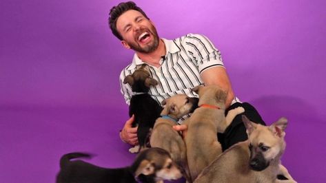 Puppy Interview, Chris Evans Photos, Happy 41st Birthday, Happy Birthday Chris, 41st Birthday, Christopher Evans, Christopher Robert Evans, Puppy Dog Eyes, Robert Evans