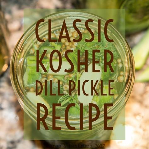 The Best Classic Kosher Dill Pickle Recipe Kosher Dill Pickle Recipe, Pickling Crock, Kosher Pickles, Homemade Pickles Dill, Kosher Dill Pickles, Pickle Recipes Homemade, Dill Pickle Recipe, Antique Crock, How To Make Pickles