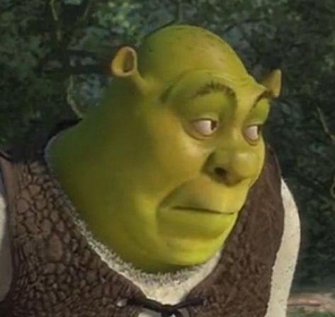 Shrek Funny, Shrek Memes, Phineas E Ferb, Every Teenagers, Meme Faces, Shrek, Funny Posts, Reaction Pictures, Dreamworks