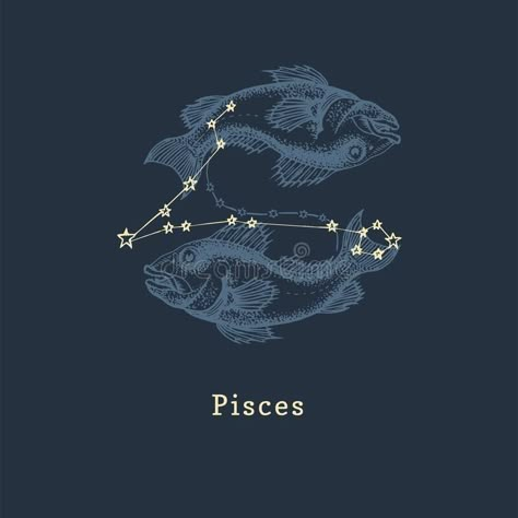 Pisces Zodiac Constellation, Pieces Aesthetic Zodiac, Pisces Widget, Pices Constellation, Pices Sign, Pisces Zodiac Aesthetic, Pieces Star Sign, Zodiac Pisces Art, Pieces Zodiac Sign