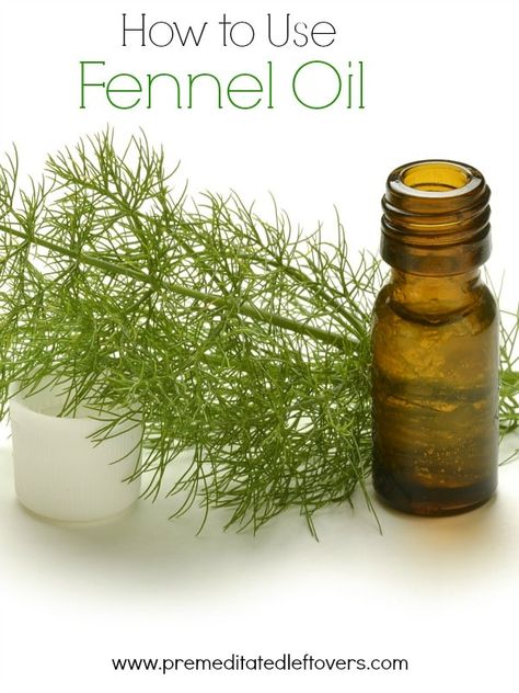 How to Use Fennel Oil- Learn how to make your own fennel oil. Once you have this oil on hand, you can enjoy its health benefits or use it in recipes. Natural Household Products, Fennel Oil, Fennel Essential Oil, Focus 3, Making Essential Oils, Mint Oil, Oil Remedies, Essential Oil Storage, Homemade Products