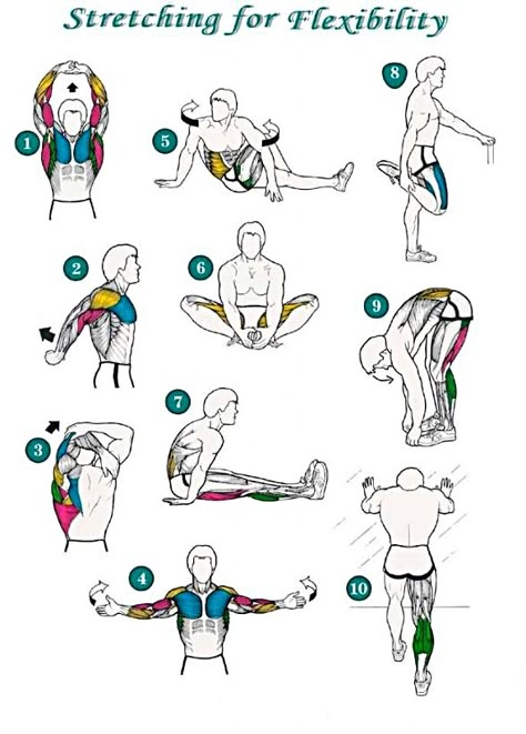 After Workout Stretches, Workout Stretches, Stretching Flexibility, Bolesti Chrbta, Trening Sztuk Walki, Stretch Routine, Stretches For Flexibility, Yoga Stretching, Trening Fitness