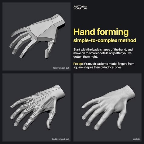 ArtStation - Hand forming Anatomy Books For Artists, Anatomy For Sculptors, Zbrush Anatomy, Hands Tutorial, Hand Anatomy, 3d Anatomy, Zbrush Character, Sculpting Tutorials, Man Anatomy