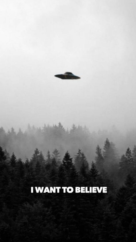 Download I want to believe wallpaper by Gid5th - e4 - Free on ZEDGE™ now. Browse millions of popular aliens Wallpapers and Ringtones on Zedge and personalize your phone to suit you. Browse our content now and free your phone Cryptid Background, Cryptid Aesthetic Wallpaper, Cryptid Wallpaper Iphone, I Want To Believe Wallpaper, Cryptidcore Wallpaper, Cryptid Wallpaper, X Files Wallpaper, Believe Wallpaper, X Files Mulder