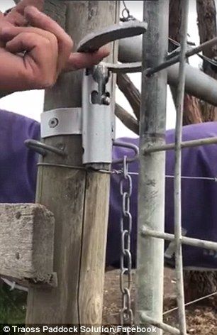 Ingenious replacement for a gate latch sets the internet alight Cattle Gate Latch Ideas, Horse Shoe Gate Latch Ideas, Farm Gate Latch, Farm Gate Latch Ideas Diy, Gate Latches Ideas, Metal Gate Latch Ideas, Gate Latch Ideas Diy, Diy Gate Latch, Gate Latch Ideas