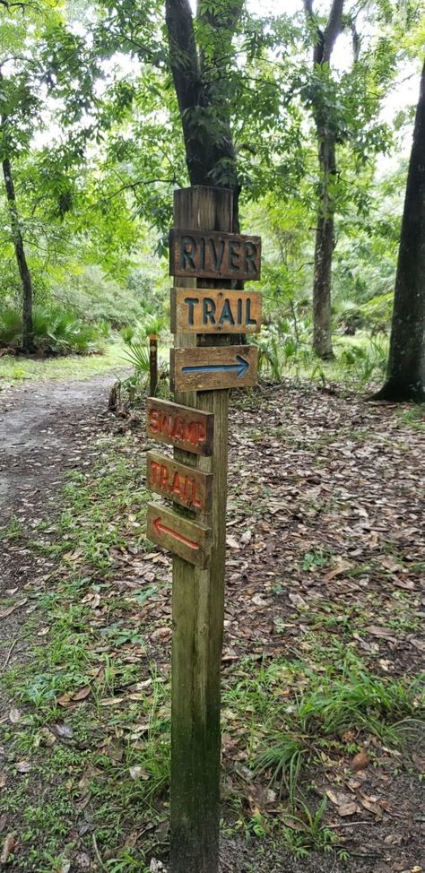 While Silver Springs State Park has miles upon miles of trails split between many different paths, we’re partial to what is nicknamed the Silver River Trail — a combination of the Swamp Trail and River Trail. Bioluminescent Plankton, Outdoor Bridges, Florida Trail, Park Signage, Wooden Carved Signs, River Retreat, Trail Signs, Wayfinding Signs, Snowshoes