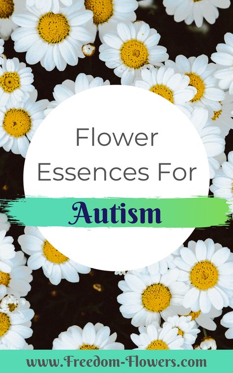 Flower Essences Diy, Bach Remedies, Flower Medicine, Flower Essences Remedies, June Flowers, Healing Flowers, Bach Flowers, Flower Remedies, Bach Flower Remedies