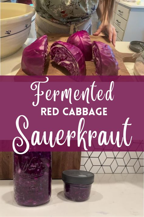 Crunchy with a little sour tang and gut-friendly – this fermented red sauerkraut recipe is an old-fashioned staple! Easy red cabbage sauerkraut recipe for beginners #fermented #redkraut #redcabbagesauerkraut Fermented Sauerkraut Recipes, Sourkrout Recipes, Red Cabbage Sauerkraut, Fermented Vegetables Recipes, Fermented Sauerkraut, Red Cabbage Recipes, Sauerkraut Recipe, Homemade Sauerkraut, Fermented Veggies