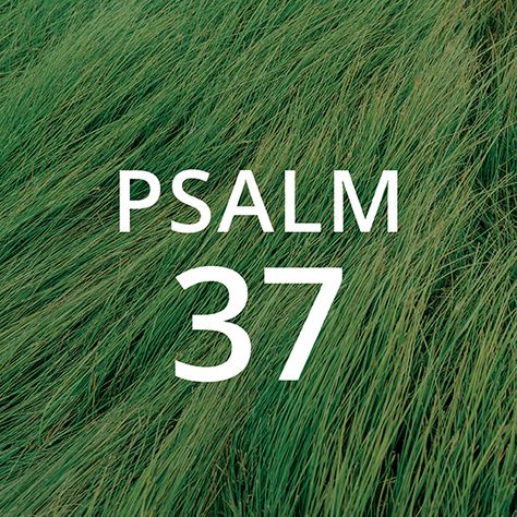 Psalm 37 - Tyler Boss - Abide Psalm 38, Psalm 17, Psalm 29, Psalm 92, Be Like Jesus, Psalm 96, Psalm 68, Psalm 143, Psalm 40