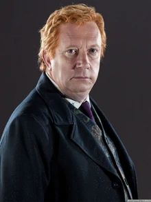 Percy Weasley, Imprimibles Harry Potter, Harry Potter Wiki, Weasley Harry Potter, Arthur Weasley, Mark Williams, Images Harry Potter, Potter Facts, Fred Weasley