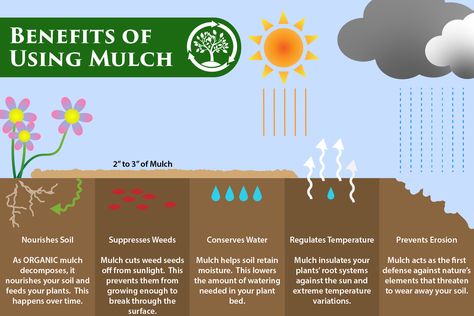 Types Of Mulch, Plant Benefits, Organic Mulch, Community Gardening, Urban Farming, Water Conservation, Healthy Plants, Mulch, Soil