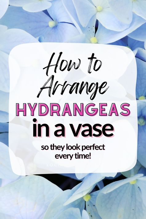 How to care for and how to arrange a hydrangea bouquet in a vase with these amazing flower arrangement tips! This simple blue and white hydrangea floral arrangement is easy to DIY and display in your home. Hydrangea Flower Arrangements Vase, How To Arrange Hydrangeas In A Vase, How To Display Dried Hydrangeas, Hydrangea Arrangements Centerpieces, Blue Hydrangea Floral Arrangements, Hydrangea Bouquet In Vase, Blue And White Hydrangea Centerpiece, Easy Hydrangea Centerpiece, Blue Hydrangea Arrangements