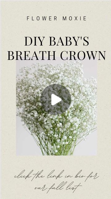 Flower Moxie on Instagram: "Let’s make a classic Baby’s Breath Crown! This quick tutorial only takes around 10 minutes to make and you can use any baby’s breath scraps on hand! Typically, you’ll only need about 2 stems of Baby’s Breath to bring this halo to life 🤩  #babysbreath #babysbreathcrown #flowergirl #diyflowergirlcrown #diywedding #flowermoxie #dogflowers #dogflowercrown" Babys Breath Flower Crowns, Babies Breath Flower Crown, Baby Breath In Hair, Baby Breath Crown, Diy Flower Crown Tutorial, Flower Crown Tutorial, Baby Breath Flower Crown, Flower Moxie, How To Make Garland