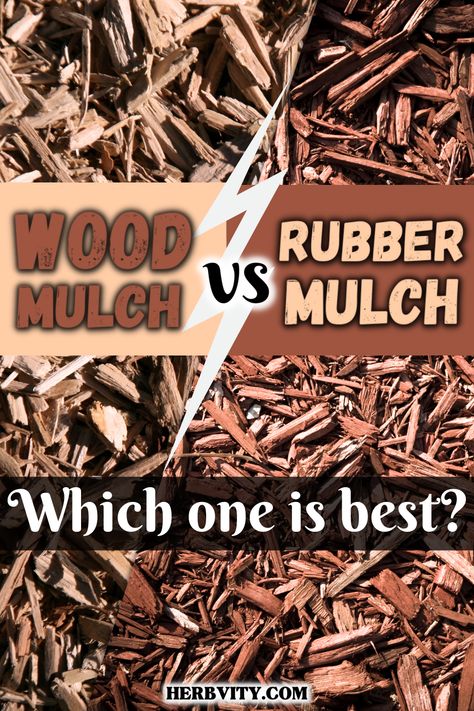 Whether you’re looking for organic mulch or inorganic mulch to help strengthen your yard, there are many alternatives to consider. In this article, we’re going to compare two of the most popular types: wood mulch vs rubber mulch. You’ll learn about their benefits, drawbacks and the best ways to use them around your home or business! Mulch Decorating Ideas, Garden With Black Mulch, Brown Rubber Mulch Landscaping, Mulch Substitute Ideas, Rubber Mulch Fire Pit Area, Rocks As Mulch Landscape Design, Mulch Or Rock Landscaping, Wood Mulch Landscaping, What Color Mulch Should I Use