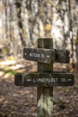 size: 12x8in Photographic Print: USA, Virginia, Shenandoah National Park, Wooden trail marker for the White Oak Trail by Hollice Looney : Hiking Signs, Wilderness Living, Art Booth, Trail Signs, River Cabin, Mail Boxes, Forest Trail, Swedish House, Park Trails