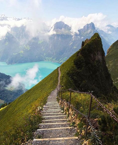 Lake Lucerne, Switzerland 🇨🇭 ⠀ ⠀ 📸 Photos : @doeeme Lake Lucerne Switzerland, Switzerland Lake, Switzerland Hiking, Lake Lucerne, Lucerne Switzerland, Hiking Spots, Relaxation Meditation, Switzerland Travel, Lucerne