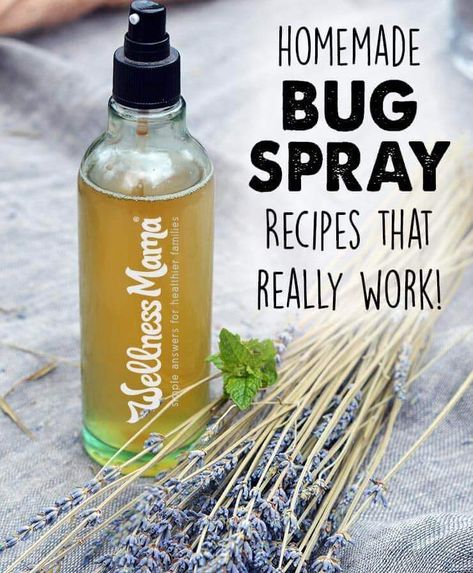 Homemade Bug Spray Recipe, Homemade Bug Spray, Diy Bug Spray, Bug Spray Recipe, Natural Bug Spray, Natural Bug Repellent, Wellness Mama, Bug Repellent, Bug Spray