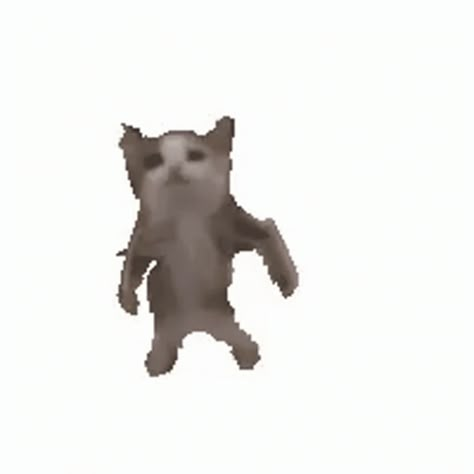 Cat Dancing GIF - Cat Dancing Gangnam Style - Discover & Share GIFs Dancing Cat Gif, Silly Gifs, Gangnam Style, Dancing Gif, Dancing Cat, Perfect Gif, Cat Icon, Silly Animals, Reaction Images