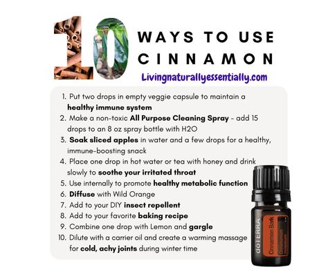 Doterra Cinnamon Bark, Doterra Cinnamon, Dottera Oils, Roller Blend Recipes, Essential Oils For Memory, Essential Oils Properties, Cinnamon Bark Essential Oil, Esential Oils, Essential Oils Doterra