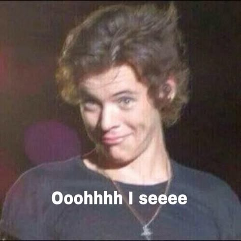 Sassy Meme, Happy Early Birthday, Harry Styles Memes, Harry Styles Funny, 1d Funny, One Direction Humor, Popular Songs, One Direction Memes, Harry Styles Pictures