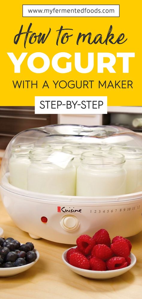 Find out how you can make yogurt with a yogurt maker. Yogurt has many beneficial probiotics and homemade yogurt is a lot healthier than store bought yogurt. Learn to make yogurt very quickly with a yogurt maker. #MyFermentedFoods #FoodProcessor #FoodMaker #Yogurt #MakingYogurt #Dairy #Milk #Kitchen Greek Yogurt In Yogurt Maker, Homemade Yogurt Recipes Yogurt Maker, How To Flavor Homemade Yogurt, Yogurt Machine Recipes, Yogurt Maker Machine, Non Dairy Yogurt Recipe, Making Yogurt Homemade, How To Make Yogurt At Home, Yogurt Maker Recipes