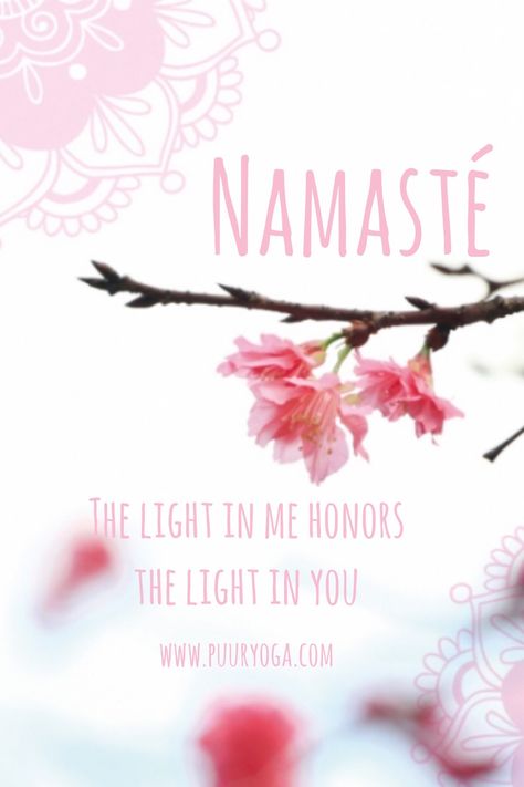 Namasté   #namastéquote #yogaquote #yoga #light Yoga Profile, Namaste Images, Zen Images, Yoga Sayings, Yoga Light, Yoga Style, Namaste Yoga, Words Matter, Baby Pics