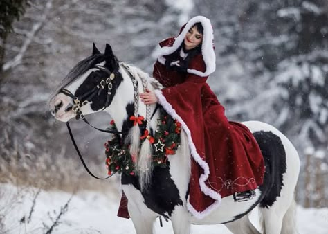 Christmas Pony Photoshoot, Horse Christmas Photoshoot, Horse Christmas Costume, Horse Christmas Pictures, Christmas Horse Photoshoot, Winter Horse Photoshoot, Cheval Pie, Equestrian Photoshoot, Equestrian Christmas