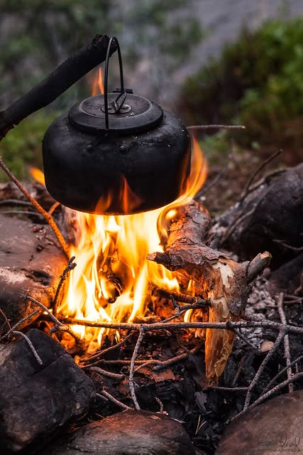 Camp Fires, Camping Kettle, Halloween Camping, Camping Photography, Camping Aesthetic, Festival Camping, Bushcraft Camping, Fire Cooking, Campfire Cooking