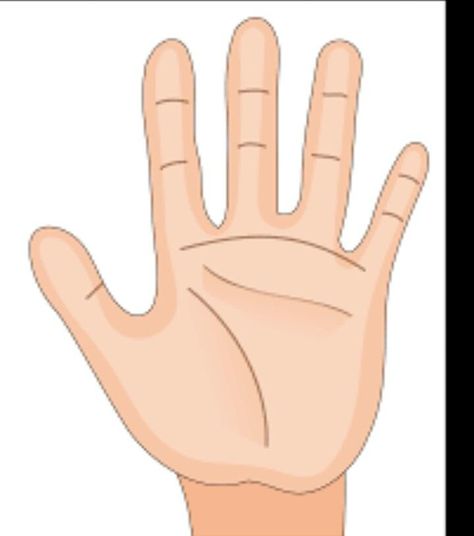 #"Fact about the line in your palm"......The Lines In Your Palm Can Unveil Secrets About Your Life. — Steemit Hand Reading, Palm Lines, Palm Mehndi Design, Fetal Alcohol, Hand Clipart, Hands Icon, Hand Palm, Beautiful Wallpaper For Phone, Palm Reading