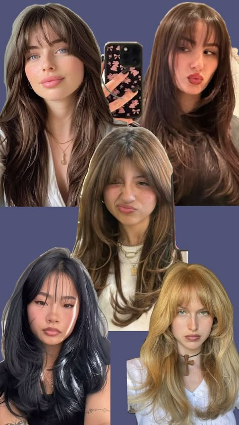 long layers hair, straight bangs, curttain bangs, blowout hair, blonde, brunette, ginger Blowout Hair Blonde, Bangs Blowout, Long Layers With Curtain Bangs, Hair Blonde Brunette, Layers With Curtain Bangs, Long Layers Hair, Casual Hairstyles For Long Hair, Brunette Bangs, Blonde Bangs