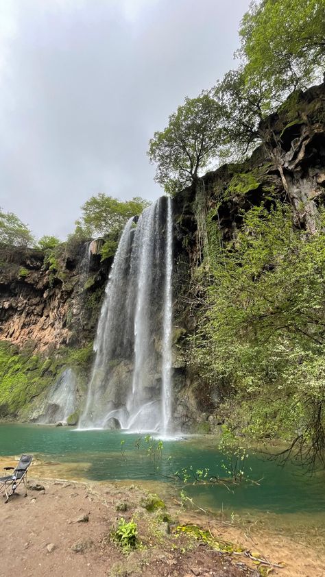 Salalah🌴 Cute Quick Hairstyles, Salalah, Quick Hairstyles, Natural Wonders, Wonderful Places, Trees, Wonder, Hairstyles, Water