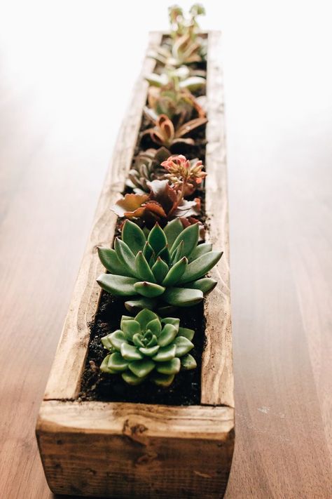 Succulent Arrangements Rectangle Pot, Succulent Wooden Boxes, Succulents Balcony Ideas, Planters From Scrap Wood, Wood Hanging Planter, Succulent Planter Ideas Indoor, Mini Planters Diy, Wooden Succulent Planter Diy, Succulents Indoor Display