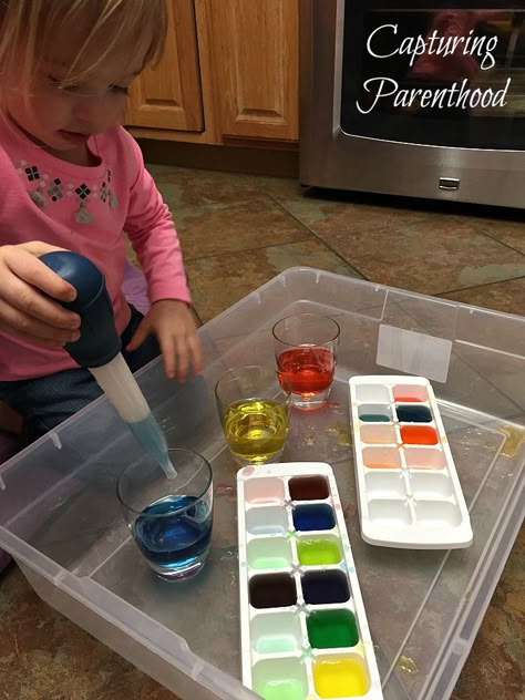 Montessori Water Pouring Activities, Mixing Activities Preschool, Color Provocations, Container Activities For Toddlers, Water Transfer Activity, Color Mixing Preschool, Flisat Activities, Color Mixing Activities, Preschool Planning