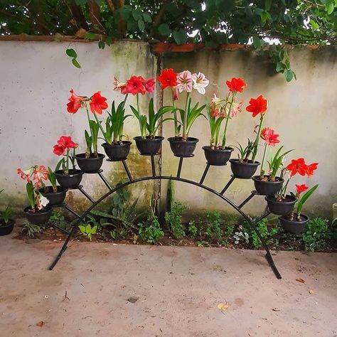 Plant Iron Stand, Pot Stands Outdoor, Outdoor Metal Plant Stands, Red Flowers Garden, Plant Stand Outdoor, Iron Plant Stand, نباتات منزلية, Plant Stands Outdoor, Garden Decor Projects