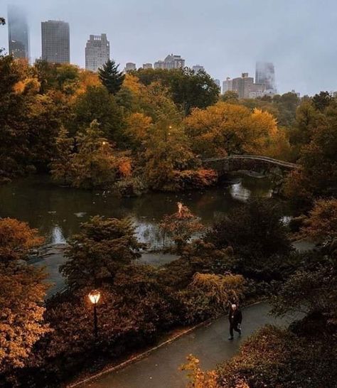 Fall Apple Orchard Aesthetic, Fall Aesthetic Pictures, October Vibes, Pax Romana, Studera Motivation, Gilmore Girl, Autumn In New York, Aesthetic Autumn, Dark Autumn