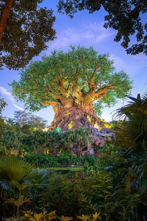 Tree Of Life  #disney #disneysecrets Animal Kingdom Photography, Disney Tree Of Life, Animal Kingdom Aesthetic, Animal Kingdom Wallpaper, Tree Of Life Disney, Animal Kingdom Tree Of Life, Tree Portrait, Disney Tree, Disney Animal Kingdom Lodge