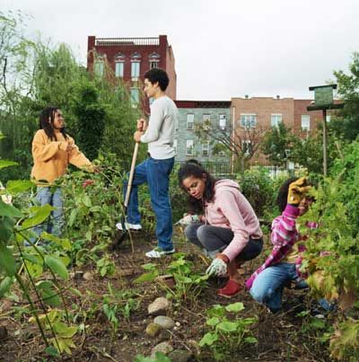 Garden Organization, Volunteer Projects, Farm Landscape, Community Gardens, Community Garden, Middle Schoolers, Food Shopping, School Garden, Community Center