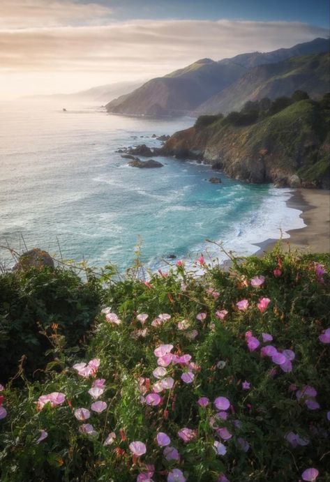 Poison Oak, California Wall Art, Outdoor Photographer, Big Sur California, Ocean Landscape, Pretty Landscapes, Ocean Painting, Beach Landscape, California Coast