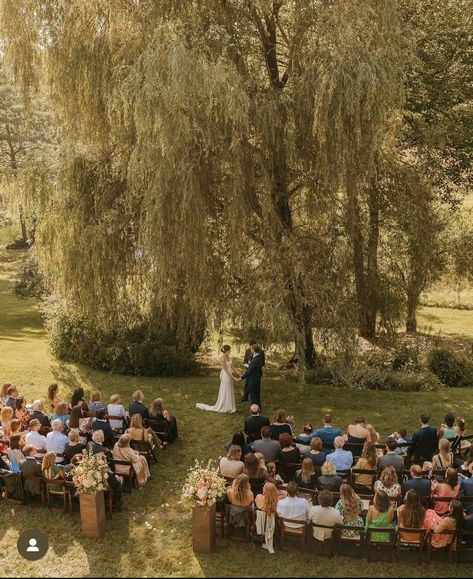 360 Wedding Ceremony, Wedding Outside Reception, Simple Park Wedding Ceremony, Under A Tree Wedding, Tree Aisle Wedding, Summer Wedding Greenery, Wedding Venues Willow Tree, Banyan Tree Wedding, Weddings In Nature