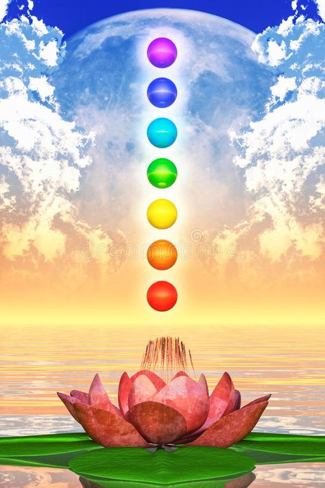 Chakra Painting Ideas On Canvas, Lotus Symbol Meaning, Sacred Chakra, Chakra Images, Kali Picture, Chakra Painting, Soul Magic, Chakra Tattoo, Chakra Health