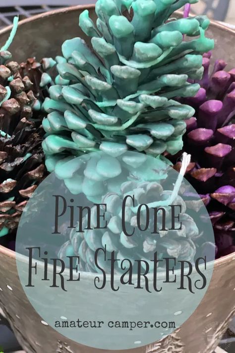 Pine Cone Fire Starters Camping Valentines, Pinecone Firestarters, Diy Firestarters, Camping Gift Basket, Pine Cone Fire Starters, Firestarters Diy, Camping Gift Baskets, Things To Do While Camping, Pine Cone Ideas