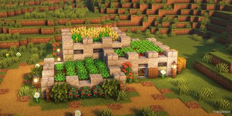 Cute Minecraft Farm Ideas Crops Layout, Crop Field Minecraft, Farm Minecraft Ideas Crops, Minecraft Farm Ideas Design, Minecraft Aesthetic Farm, Minecraft Field, Minecraft Farm Layout, Minecraft Farm Ideas, Minecraft Creator