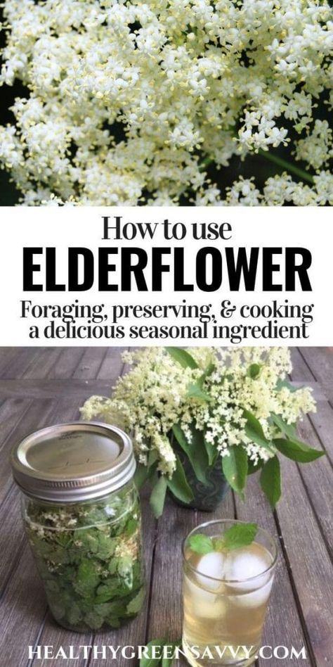 Elderflower Recipes, Tinctures Recipes, Elderberry Recipes, Edible Flowers Recipes, Wild Food Foraging, Food Foraging, Medicinal Herbs Garden, Foraging Recipes, Edible Wild Plants