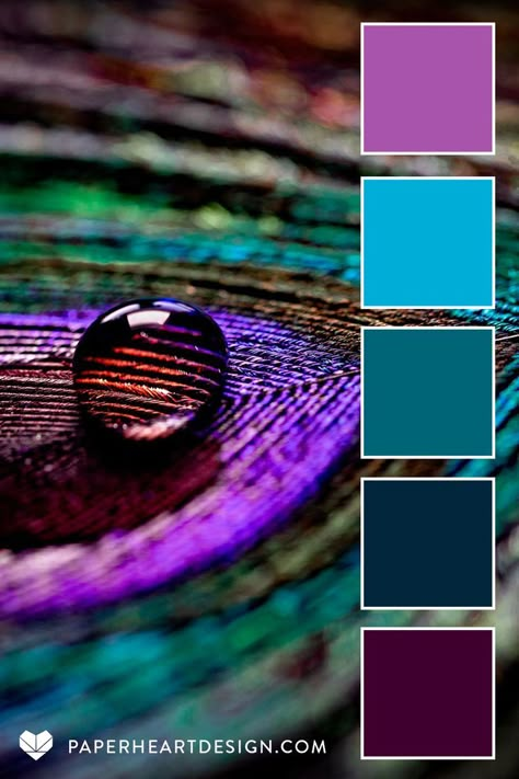 This peacock inspired color palette is part of the Macro Moisture Collection-- perfect for color combos to inspire your next design project, wedding colors, interior design, digital illustration, branding, & more! View hundreds of expertly designed color palettes on our blog! #colorpalette #procreate #colorscheme#color#colourpalette #colorinspiration #interiordesign #graphicdesign #weddingcolors #interiordesign#branding#design #fashion #hexcode #macro #jeweltone #peacock #droplet #feather Feather Color Palette, Maximalist Color Palette, Turquoise Color Combinations, Jewel Tone Color Palette, Color Schemes Colour Palettes, Jewel Tone Colors, Palette Design, Color Palate, Color Balance