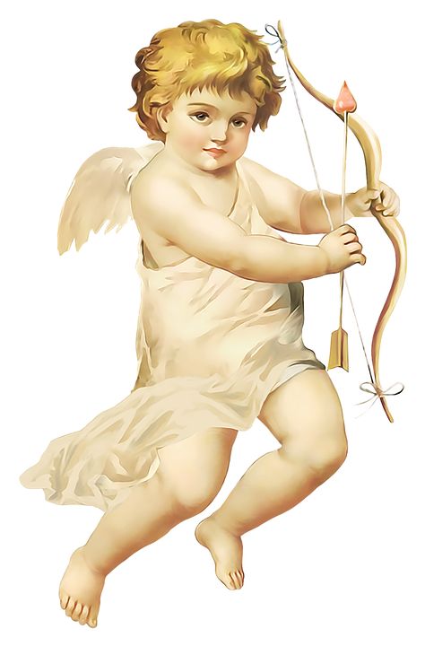 Cupid is one of the special god in the greek mythology. He is a son of Venus and god of attraction affection and love. #cupid #god #love #attraction #greek #mythology Cupid Pictures, Victorian Angels, Victorian Valentines, Boy Images, Vintage Angel, Angel Aesthetic, Baby Mickey, My Funny Valentine, Free Clipart