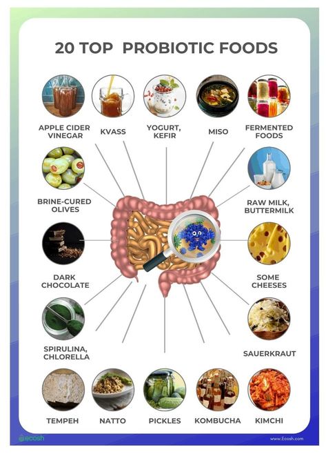 Probiotic Food, Benefits Of Probiotics, Gut Reset, Gut Health Diet, Probiotic Benefits, Gut Health Recipes, Prebiotics And Probiotics, Probiotic Foods, Animal Protein