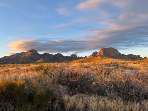 Discover Texas' top camping destinations that offer breathtaking landscapes, diverse wildlife, and unique experiences. From the rugged beauty of Big Bend to the serene shores of Lake Livingston, find your perfect outdoor adventure in the Lone Star State. Camping Texas, Livingston Texas, Colorado Bend State Park, Texas Nature, Killeen Texas, Camping In Texas, Texas State Parks, Explore Texas, State Park Camping