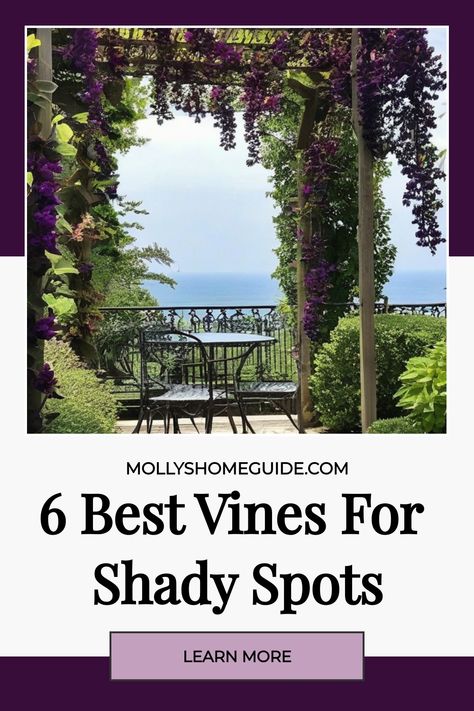 Discover the best vining plants for shade to brighten up your garden with a touch of elegance and color. From clematis vines to perennial climbers, these climbing plants are perfect for shaded areas. Create a stunning oasis in your backyard with flowering vines that thrive in low-light conditions, adding beauty to trellises and garden walls. Explore different varieties of annual flowers suitable for containers or choose the best flowering plants for shaded spots. Vines For Shade Climbing, Shade Vines Perennial, Climbers Plants, Vines That Grow In Shade Climbing, Flowering Vines Climbing Perennial, Full Sun Climbing Plants Flowering Vines, Climbers For Shade, Climbing Clematis, Climber Plants