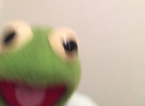 Kermit Memes, Pearl Boy, Pp Wa, Kermit The Frog, Reaction Memes, Playlist Covers, The Frog, Reaction Pics, Profile Pics